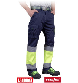 Захисні штани REIS BAX-T GY