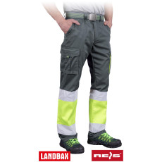 Захисні штани REIS BAX-T SY