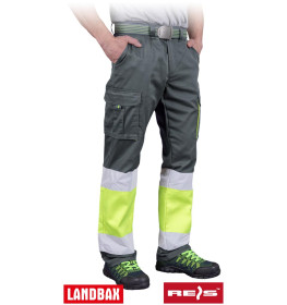 Захисні штани REIS BAX-T SY