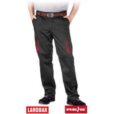 Захисні штани REIS LAND-T BC