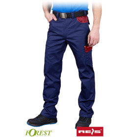 Захисні штани REIS SPF GDC